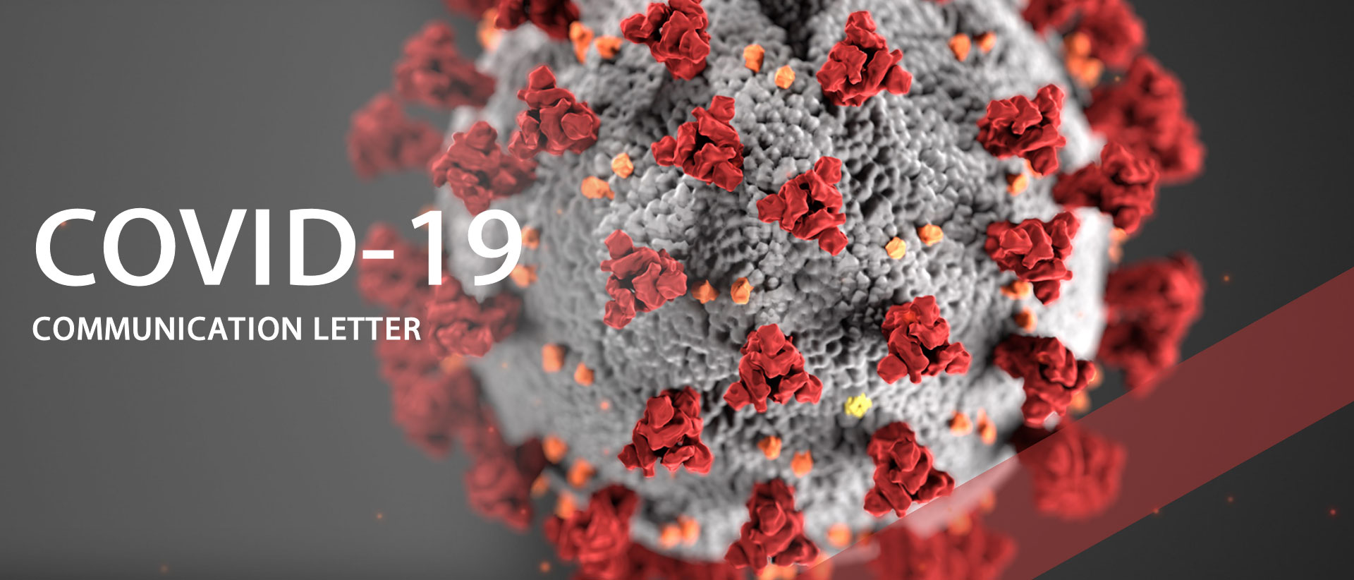 Corona Virus Company Update